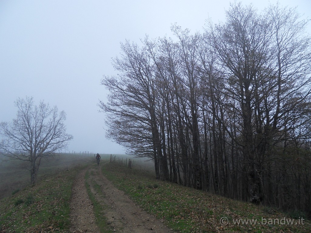 SDC10182.JPG - In pieno autunno