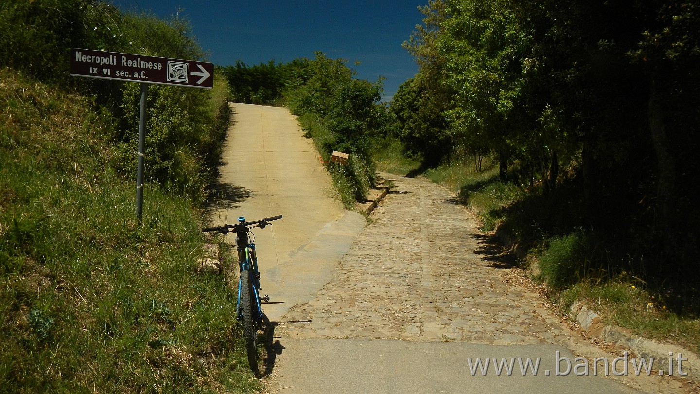 DSCN9308.JPG - Calascibetta e dintorni (Lago Villarosa, Villadoro, Cacchiamo, Monte altesina, Necropoli Realmese)