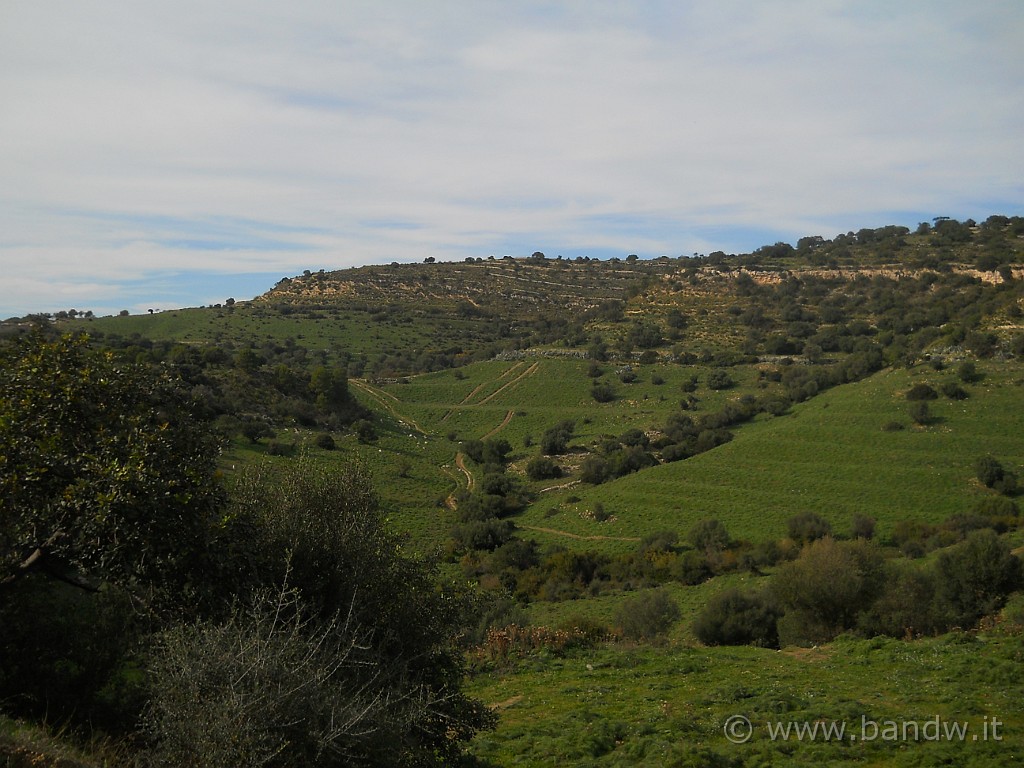 DSCN2729.JPG - Avremmo dovuto proseguire lungo la traccia centrale ma c'è troppo fango, sarà per la prossima volta