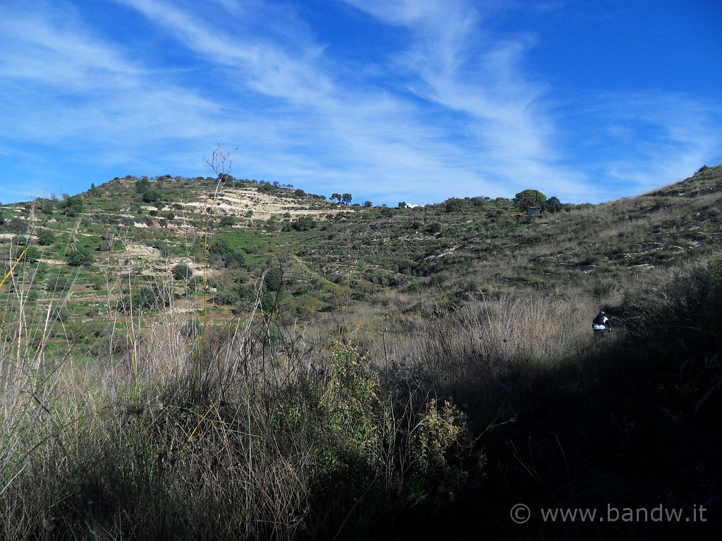 SDC10752.JPG - Mentre pedaliamo immersi nella vegetazione, osserviamo il cielo cotonato di nuvole