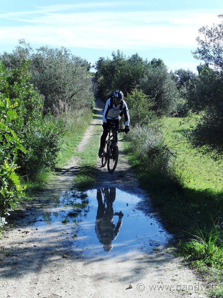 SDC10772.jpg - Ottimo riflesso di Gaetano