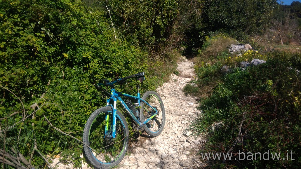 P_20190318_101901.jpg - Donnalucata-Cozzo Streppenosa-Mangiagesso