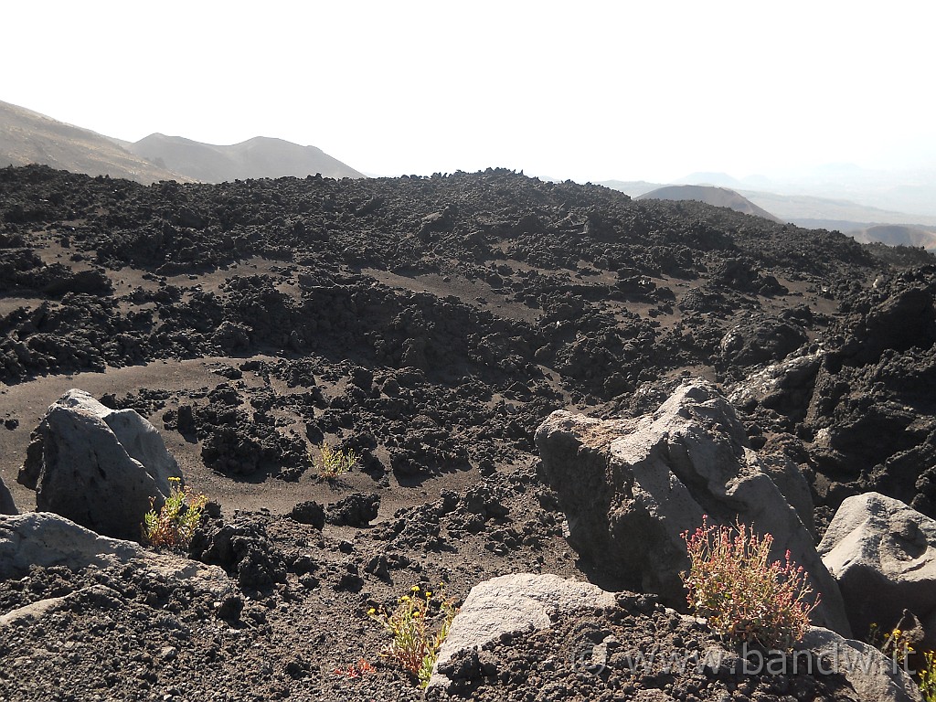 Etna-Torre_del_Filosofo_037.JPG -           