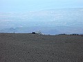 Etna-Torre_del_Filosofo2_110