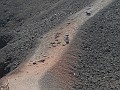 Etna-Torre_del_Filosofo2_141