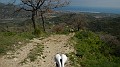 DSCN4532