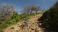DSCN4534
