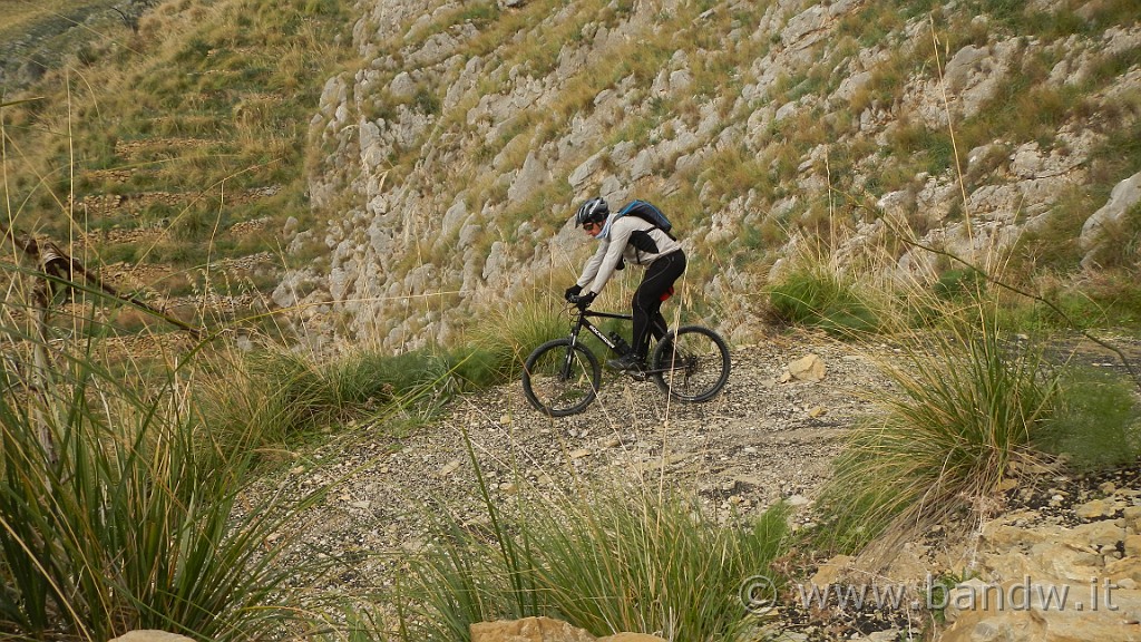 DSCN9813.jpg