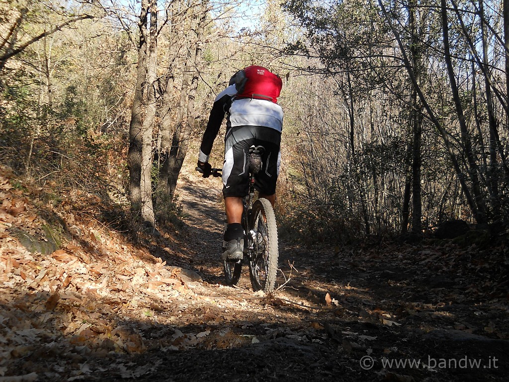 DSCN8783.JPG - Dopo la dura salita verso monte Cicirello, finalmente un pò di discesa