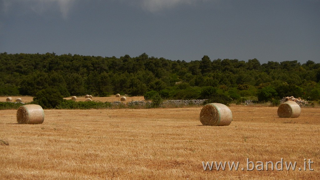 DSCN3276.JPG - GF Terre Ioniche