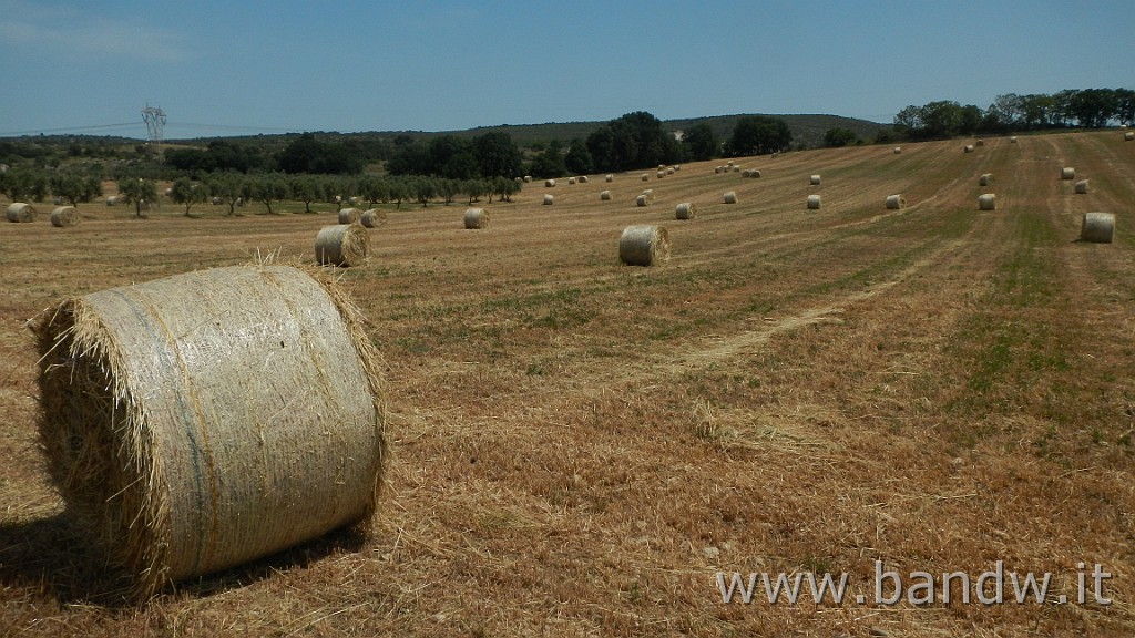 DSCN3303.JPG - GF Terre Ioniche