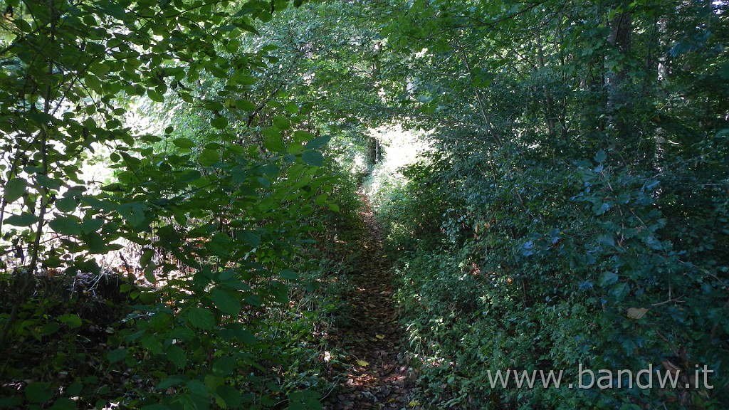 DSCN3837.JPG - Germania - Baden-WÃ¼rttemberg - Rund um Blaustein