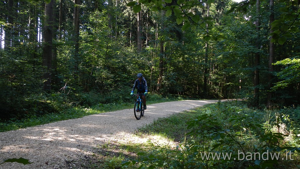 DSCN3838.JPG - Germania - Baden-WÃ¼rttemberg - Rund um Blaustein