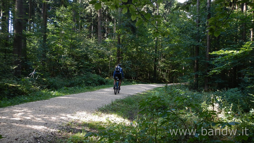 DSCN3839.JPG - Germania - Baden-WÃ¼rttemberg - Rund um Blaustein