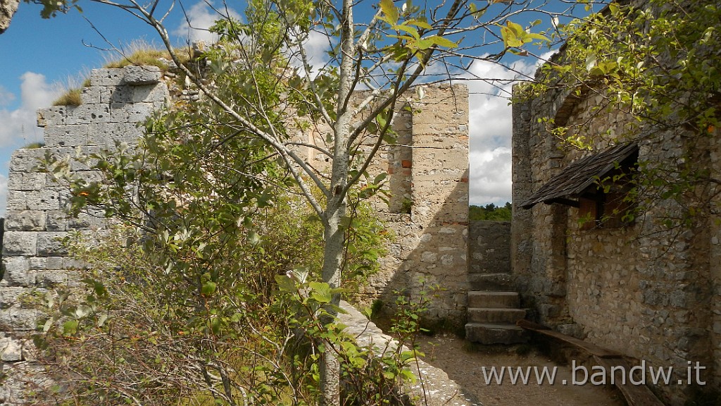 DSCN3850.JPG - Germania - Baden-WÃ¼rttemberg - Rund um Blaustein