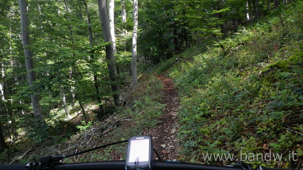DSCN3859.JPG - Germania - Baden-WÃ¼rttemberg - Rund um Blaustein
