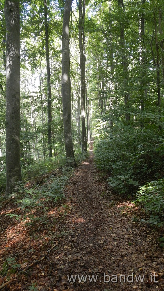 DSCN3861.JPG - Germania - Baden-WÃ¼rttemberg - Rund um Blaustein