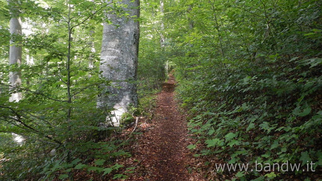 DSCN3862.JPG - Germania - Baden-WÃ¼rttemberg - Rund um Blaustein
