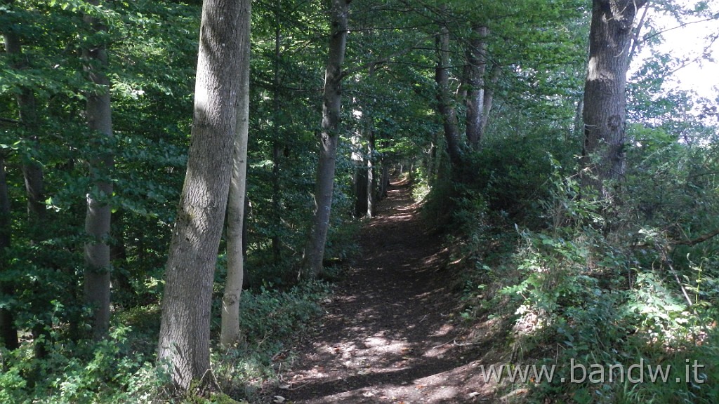 DSCN3867.JPG - Germania - Baden-WÃ¼rttemberg - Rund um Blaustein