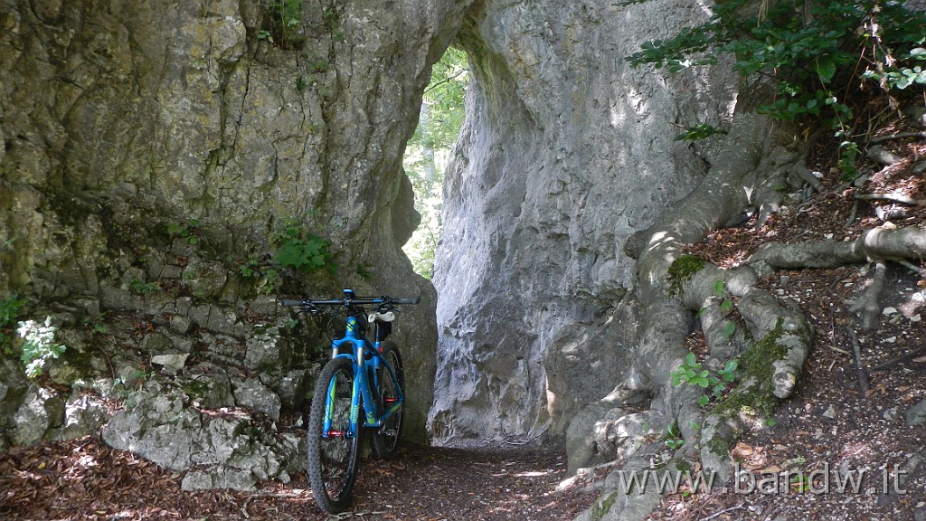 DSCN3884.JPG - Germania - Baden-WÃ¼rttemberg - Rund um Blaustein