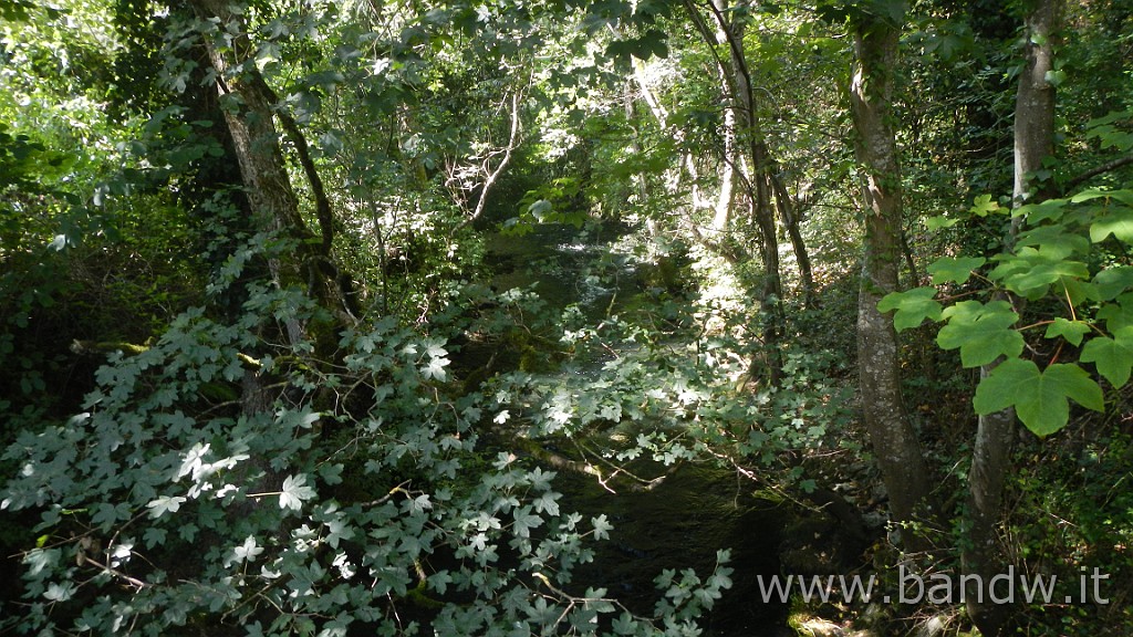 DSCN3894.JPG - Germania - Baden-WÃ¼rttemberg - Rund um Blaustein
