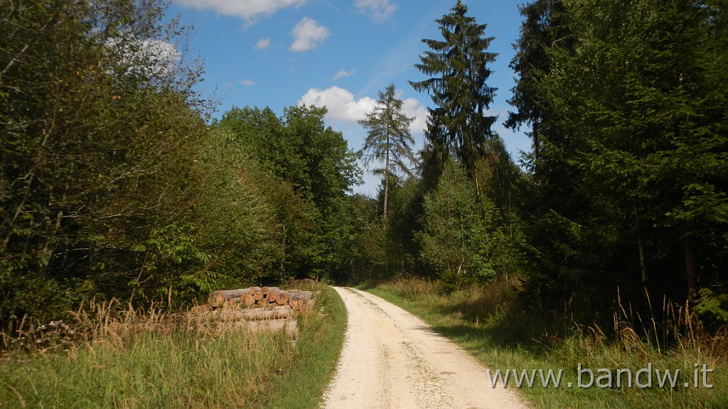 DSCN3903.JPG - Germania - Baden-WÃ¼rttemberg - Rund um Blaustein