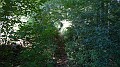 DSCN3837