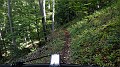 DSCN3859