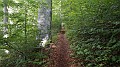 DSCN3862