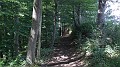 DSCN3867