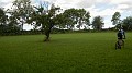 DSCN3868
