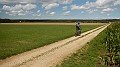 DSCN3873