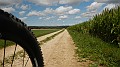 DSCN3874