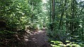 DSCN3879
