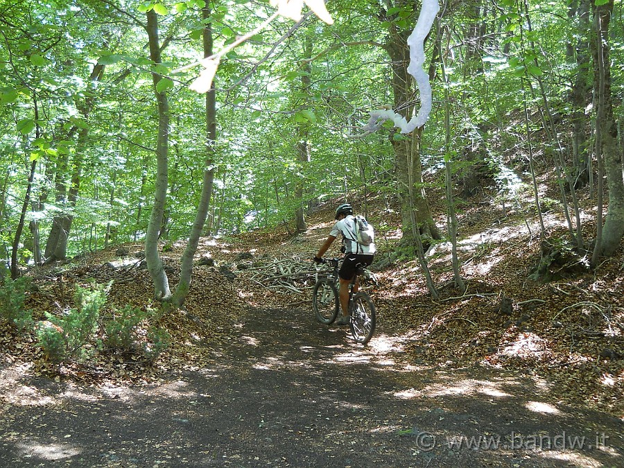 DSCN6303.JPG - Lascio il rifugio e proseguo verso Dagala dell'Orso seguendo un sentiero sotto Monte Pomiciaro, ma arrivato in cima lo trovo ostruito, quindi giro la mia MTB e ridiscendo verso giù