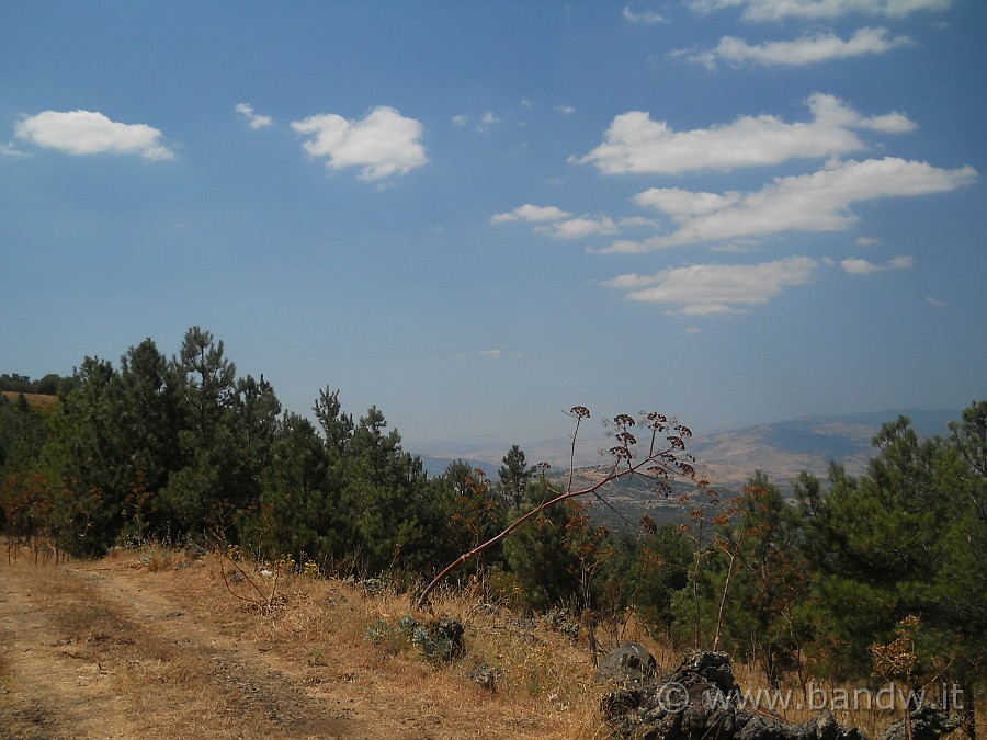 DSCN6308.JPG - Continuo il mio itinerario ed arrivo sopra Monte Piluso