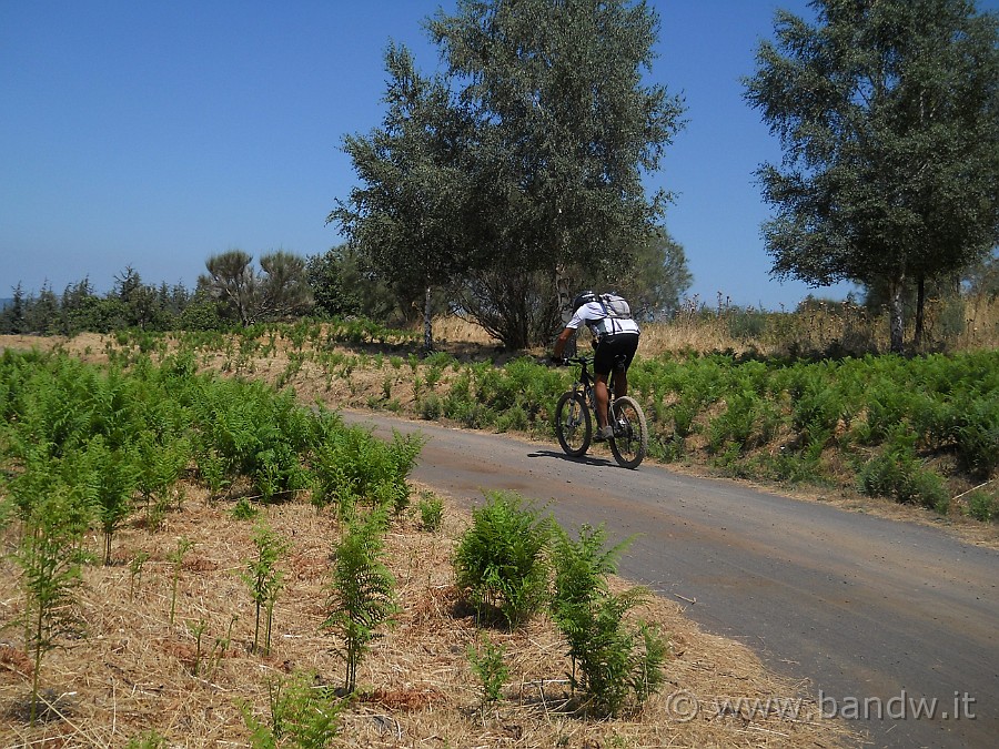 DSCN6311.JPG - Ridiscendo allegramente verso valle