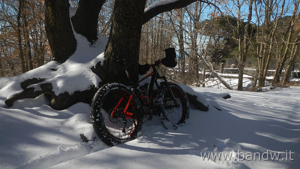 DSCN5781.JPG - La prima vera neve in Fat Bike