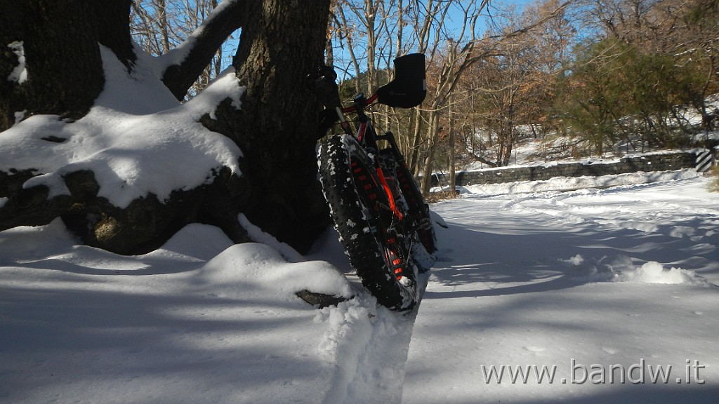 DSCN5782.JPG - La prima vera neve in Fat Bike