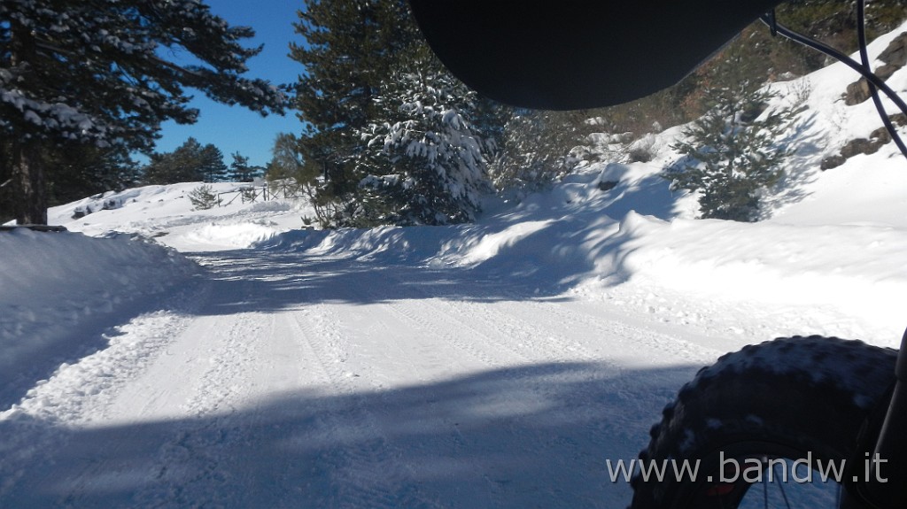 DSCN5810.JPG - La prima vera neve in Fat Bike