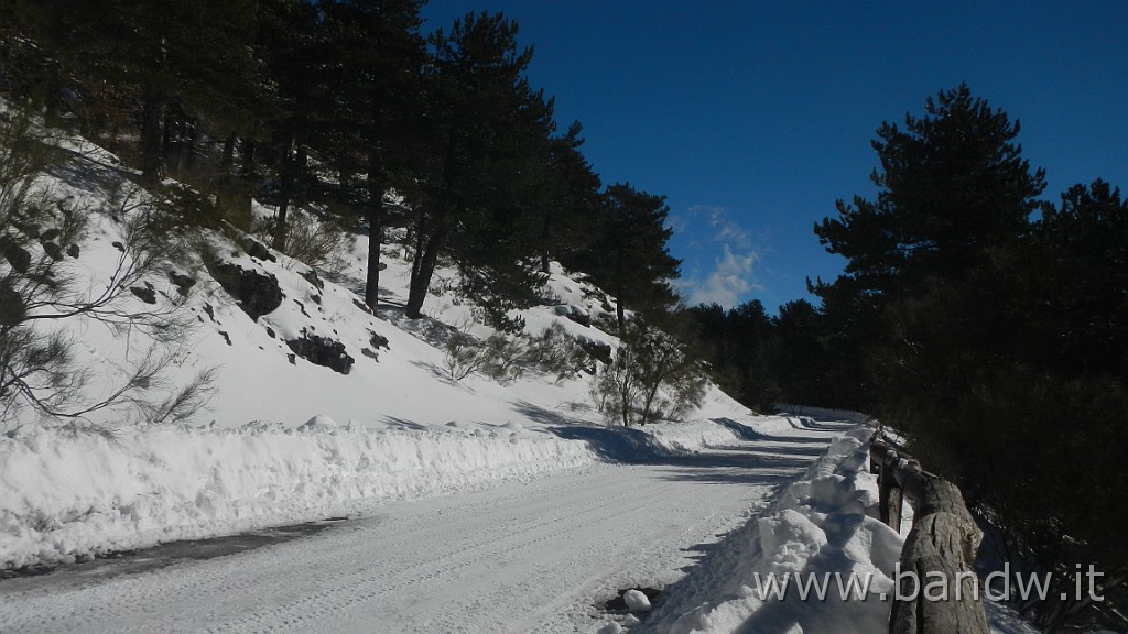 DSCN5812.JPG - La prima vera neve in Fat Bike