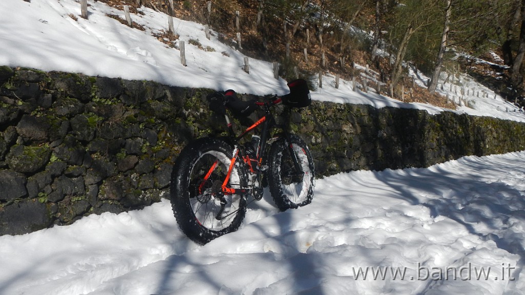 DSCN5815.JPG - La prima vera neve in Fat Bike