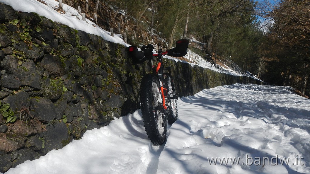 DSCN5818.JPG - La prima vera neve in Fat Bike