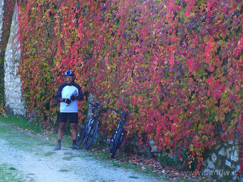 100_4951.JPG - ......infati ecco la versione di Massimo...