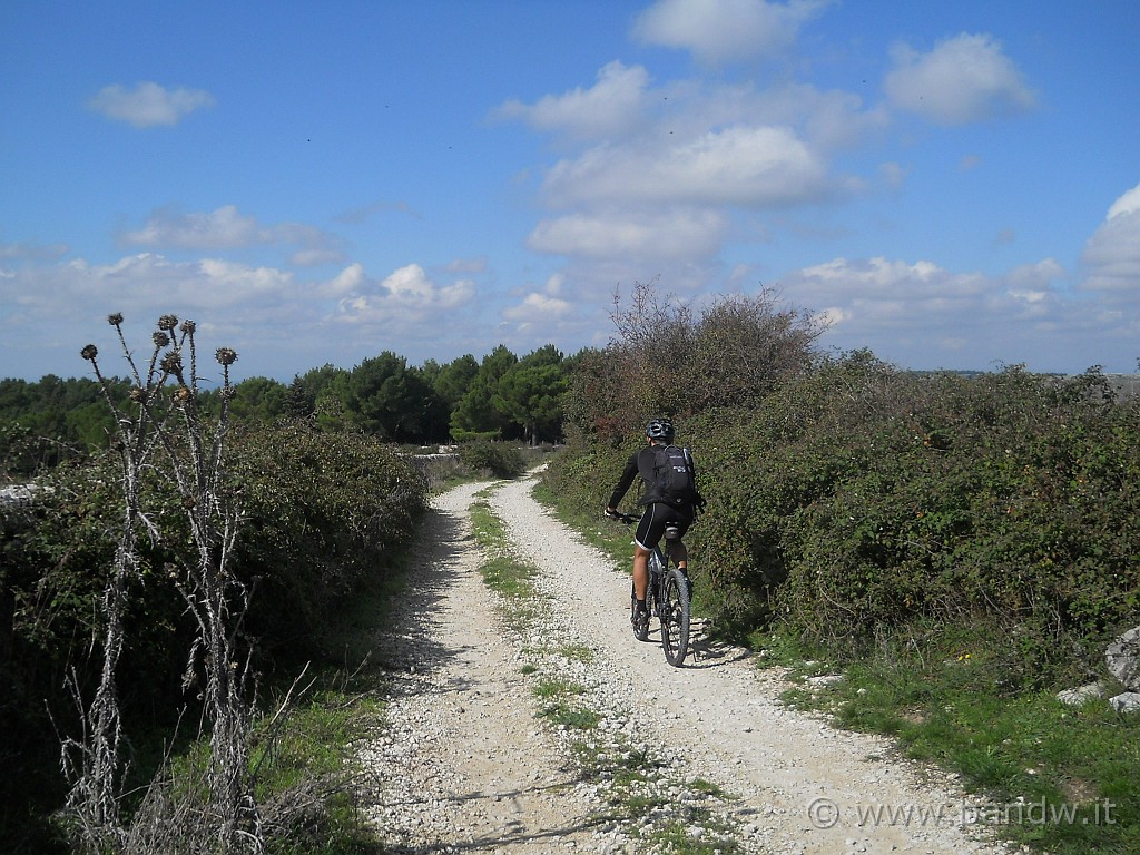 DSCN1834.JPG - Gaetano, ovviamente allunga, ma........