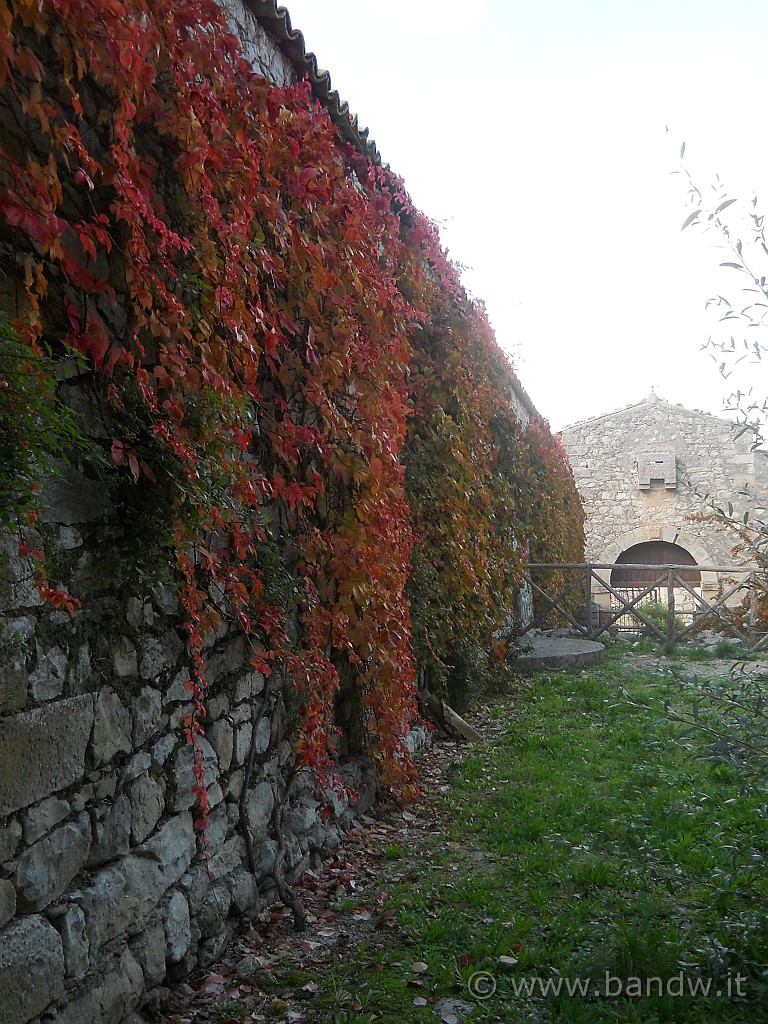 DSCN1852.JPG - La masseria Canalazzo