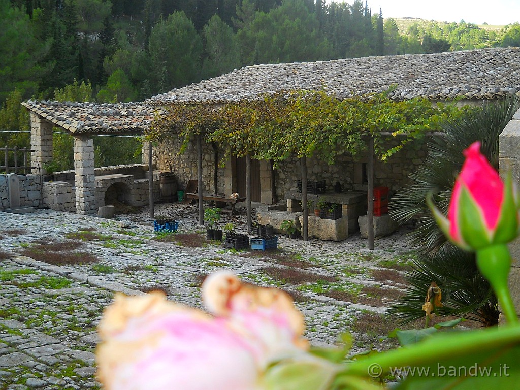 DSCN1856.JPG - La masseria Canalazzo