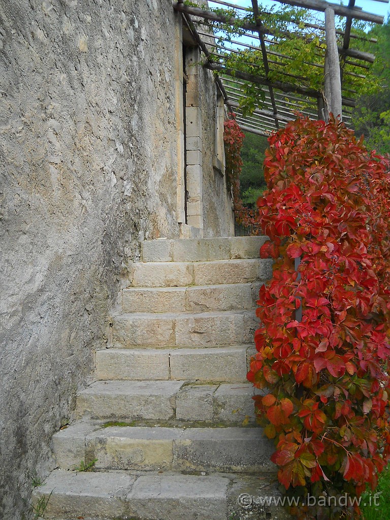 DSCN1859.JPG - La masseria Canalazzo