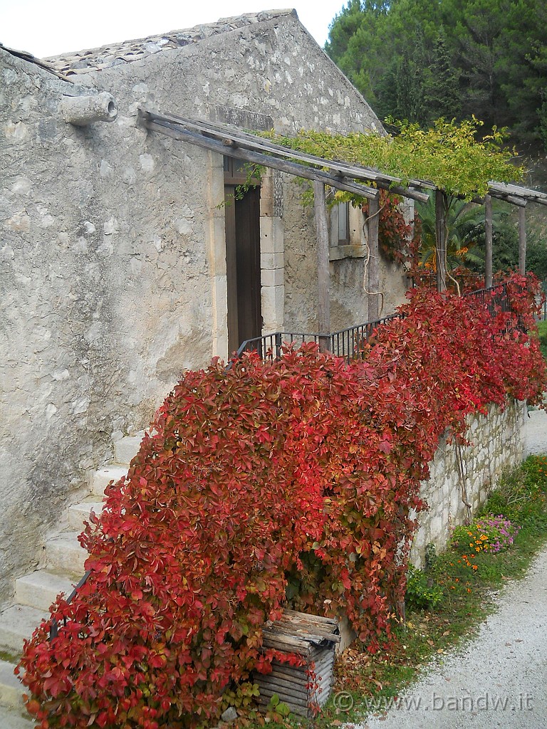 DSCN1860.JPG - La masseria Canalazzo