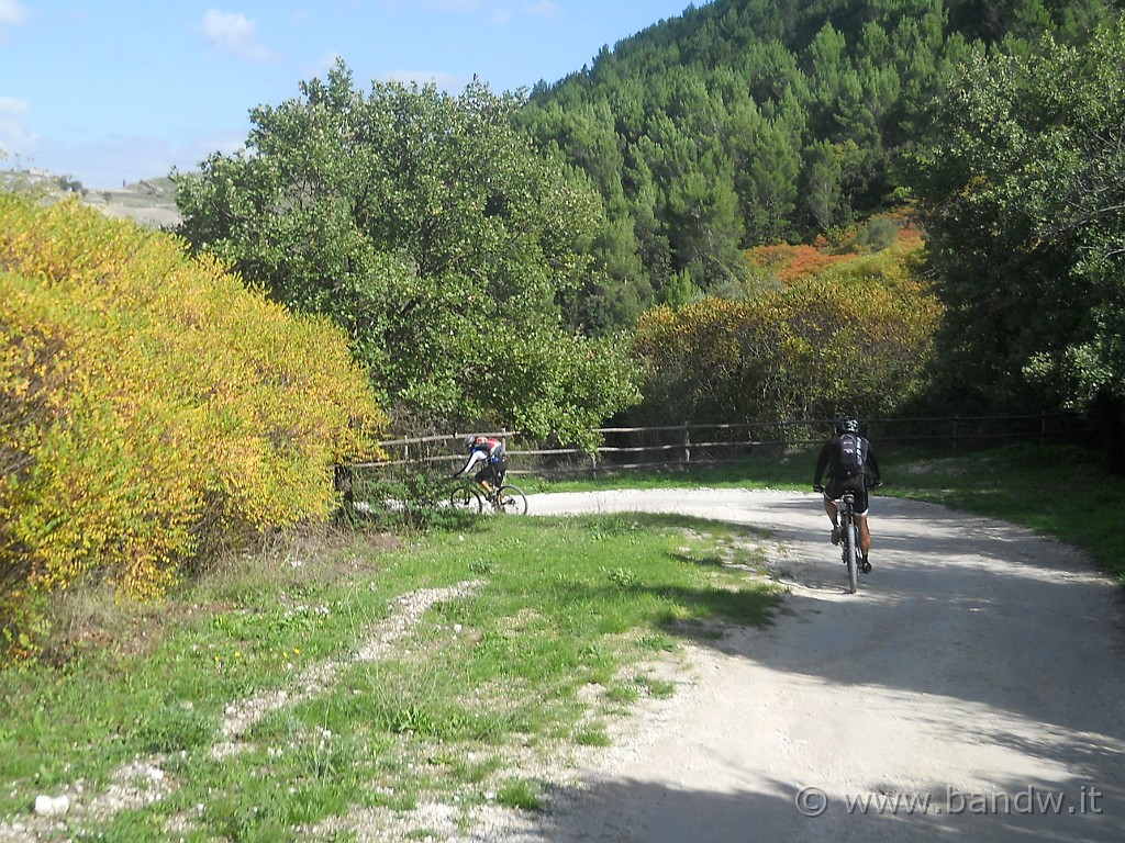 DSCN1870.JPG - Pista!!!!!!!!!!!!!!!! Il piccolo Massimo fila via come un fulmine